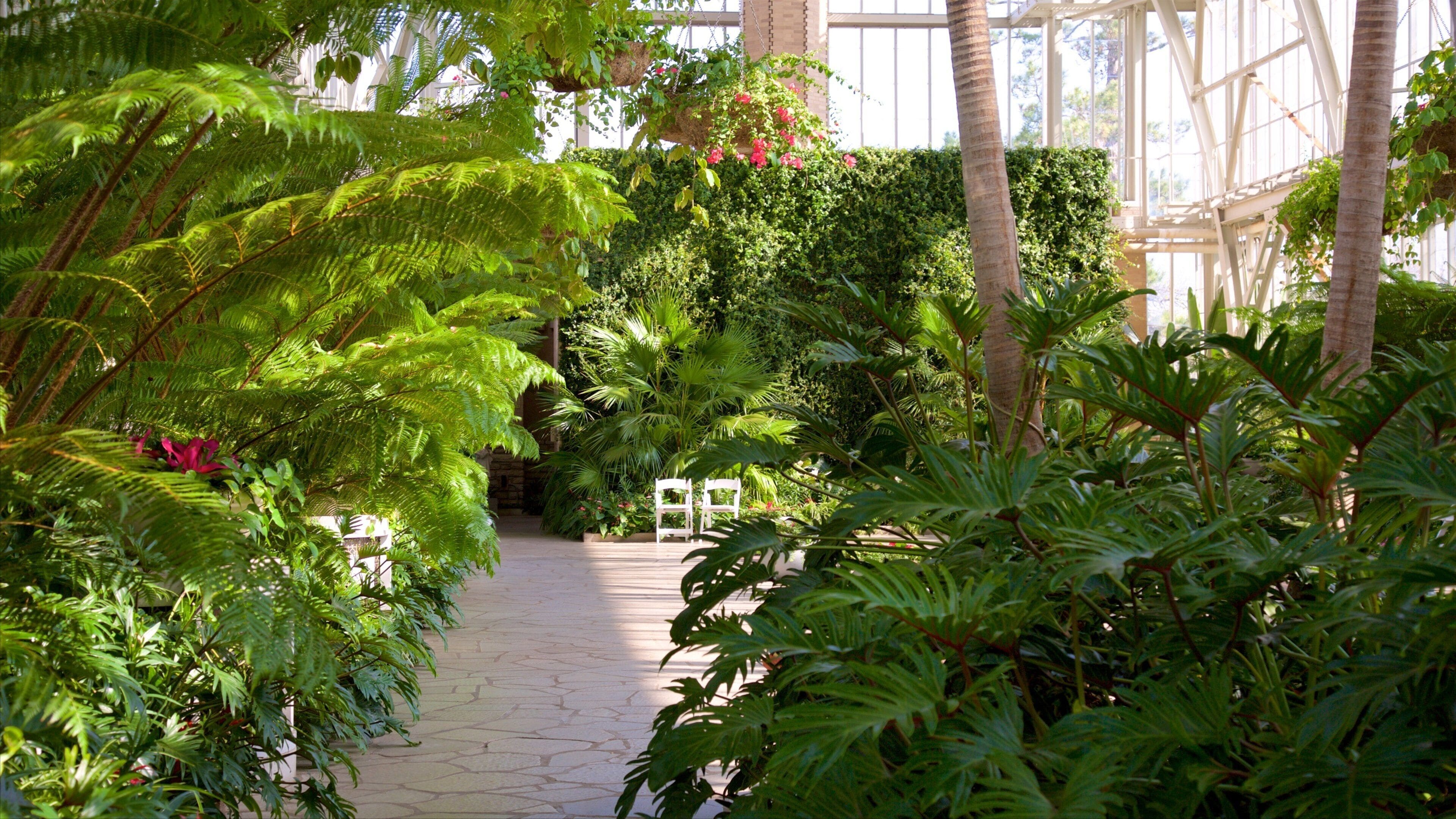 Jewel Box featuring interior views and a park