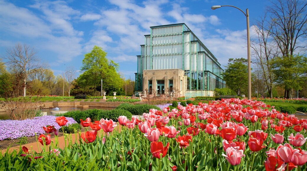 Forest Park showing a pond, flowers and modern architecture