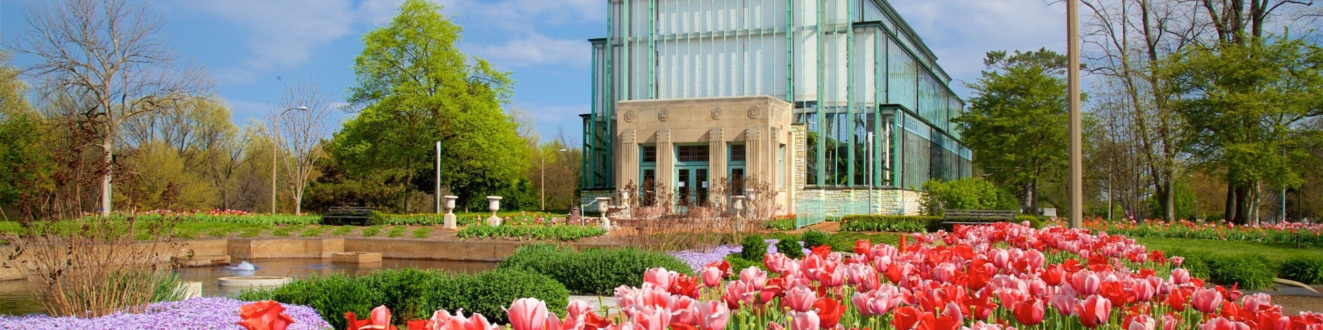 Forest Park showing flowers, a garden and modern architecture