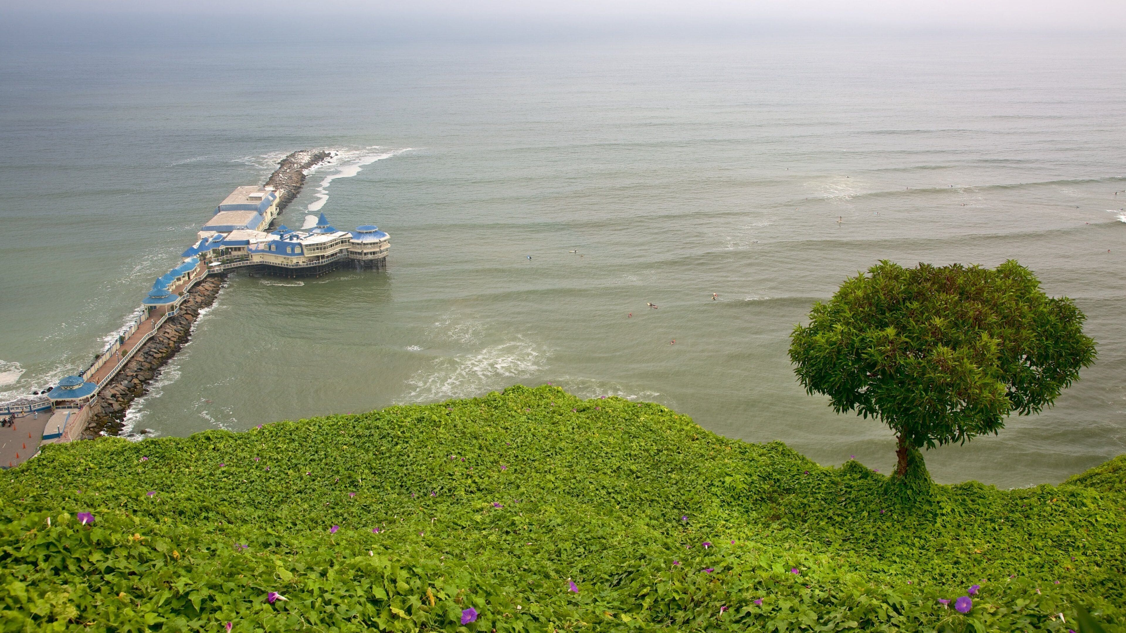 Lima showing landscape views and general coastal views