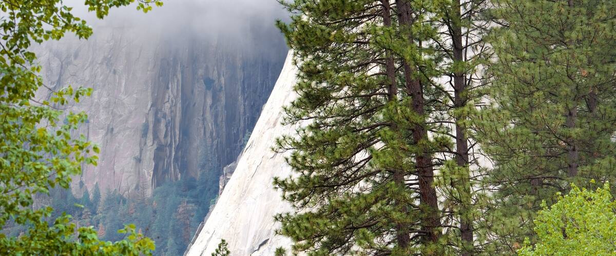 Yosemite National Park