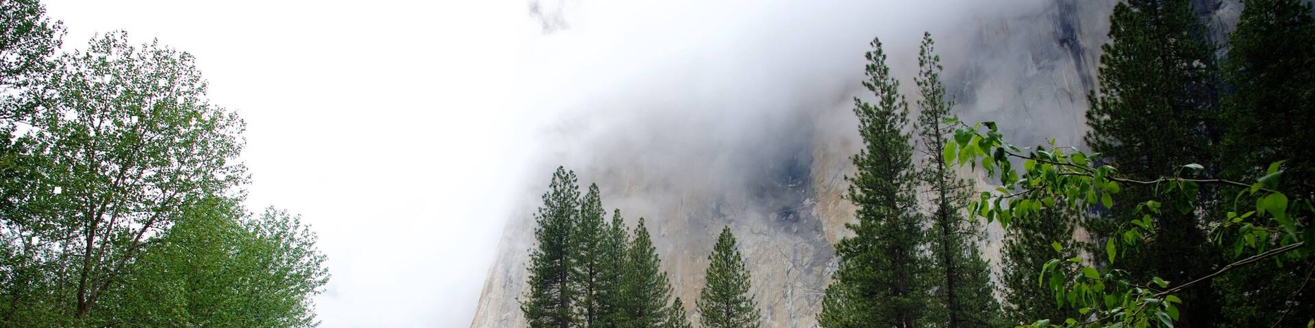 Cathedral Beach Picnic Area showing a lake or waterhole, mist or fog and forest scenes