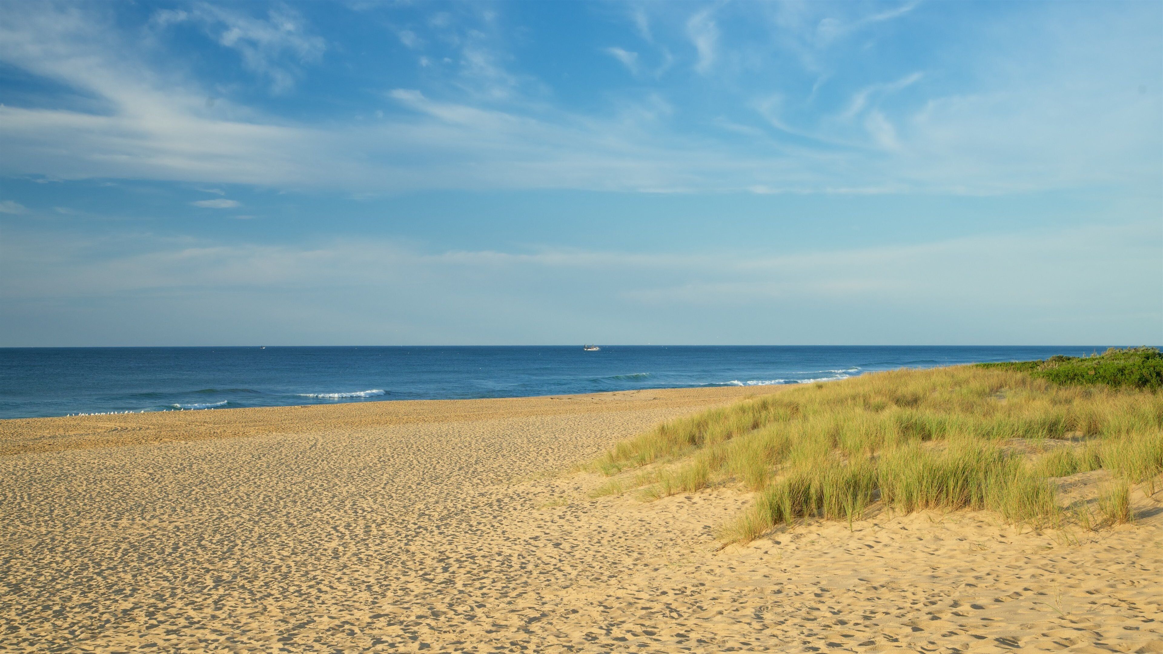Lakes Entrance showing a sandy beach and a bay or harbour