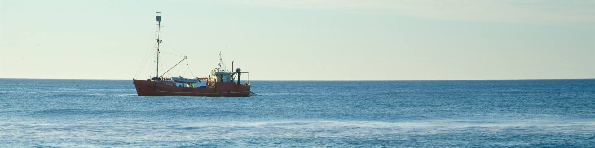 Main Beach which includes general coastal views, a sunset and boating