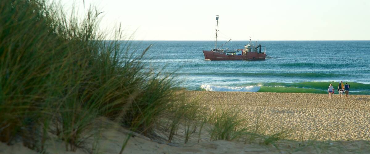 Gippsland featuring hiekkaranta, yleiset rantanäkymät ja aallot