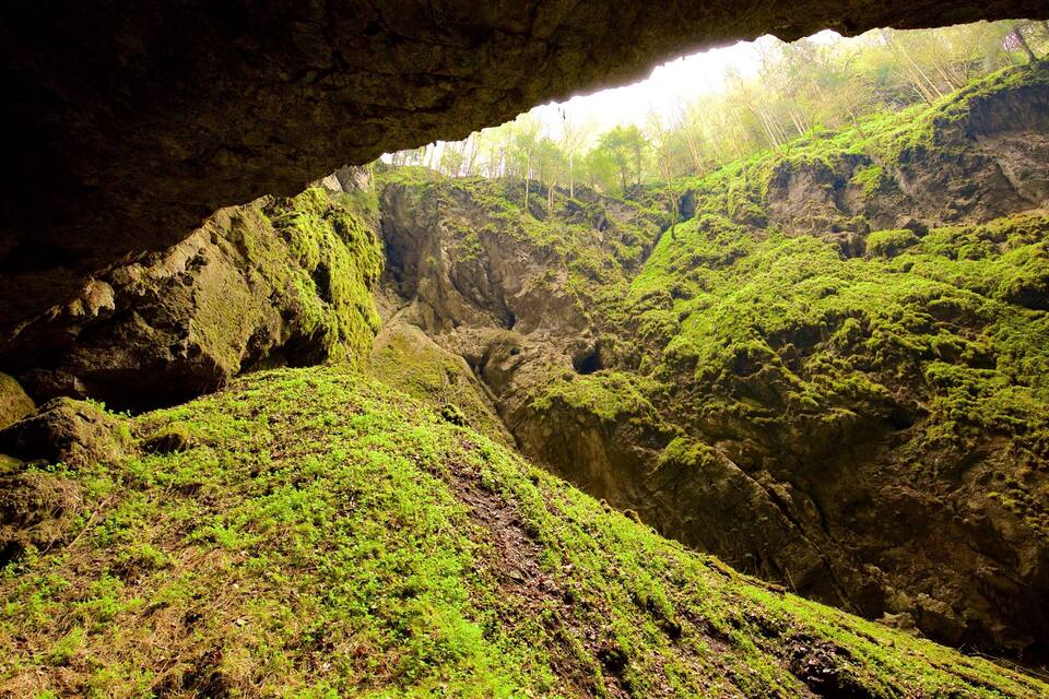 A lush green canyon with a cave entrance.