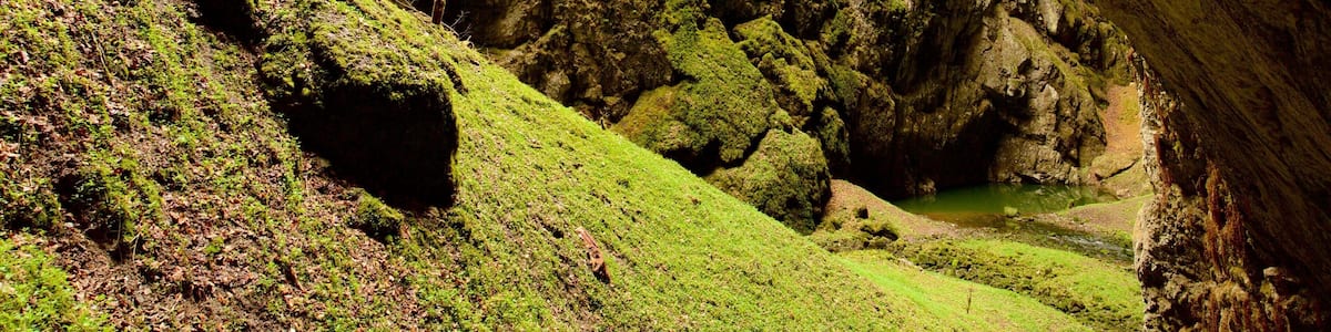Macocha Abyss which includes caves