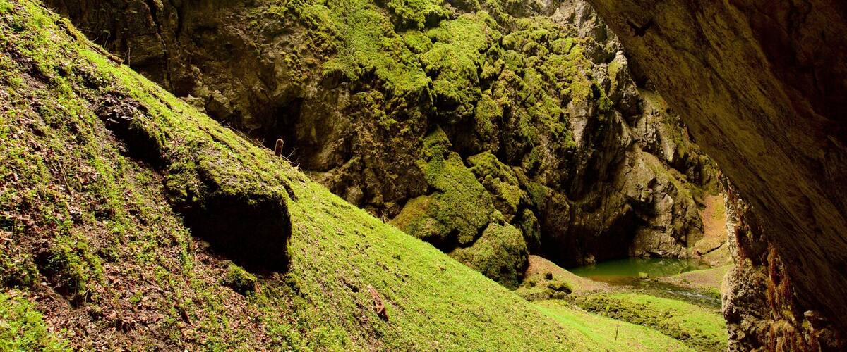 Macocha Abyss which includes caves