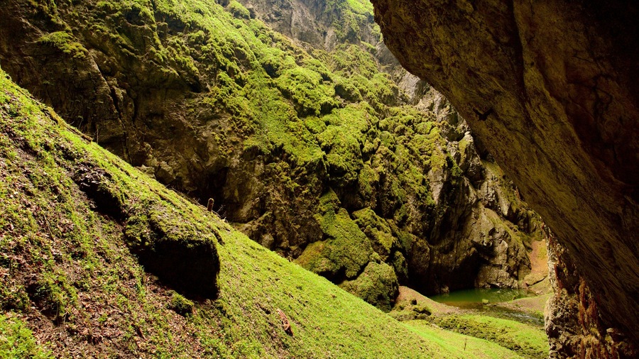 Macocha Abyss which includes caves