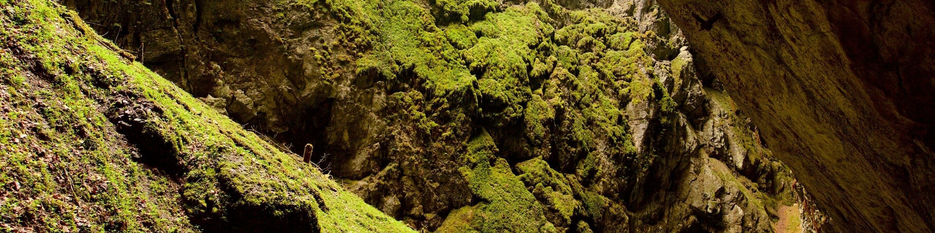 Macocha Abyss which includes caves