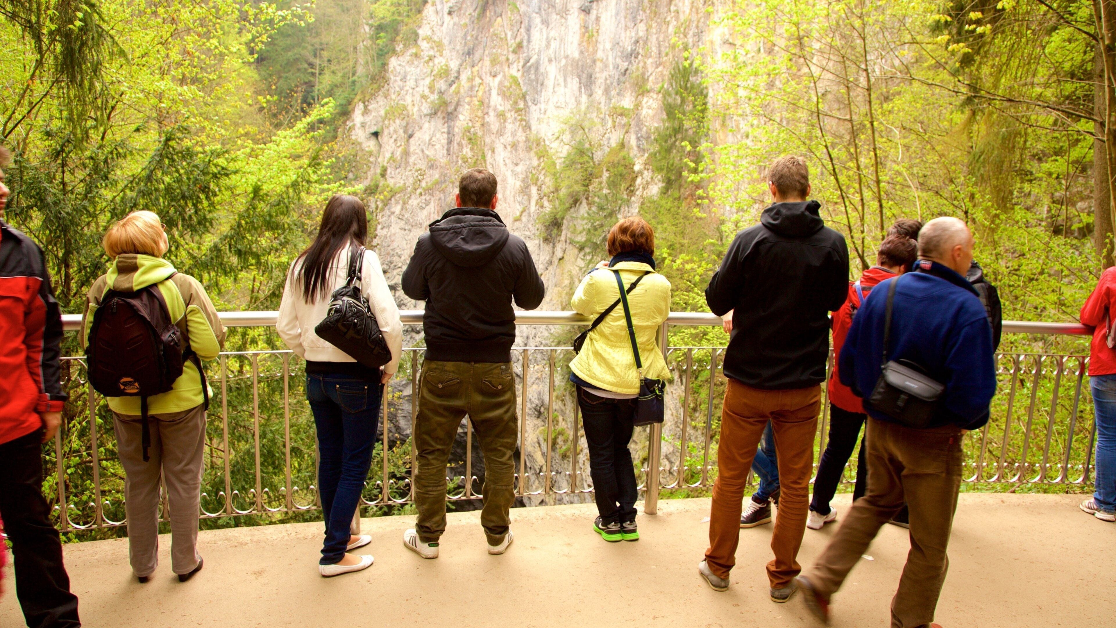 South Moravian featuring views, tranquil scenes and forest scenes