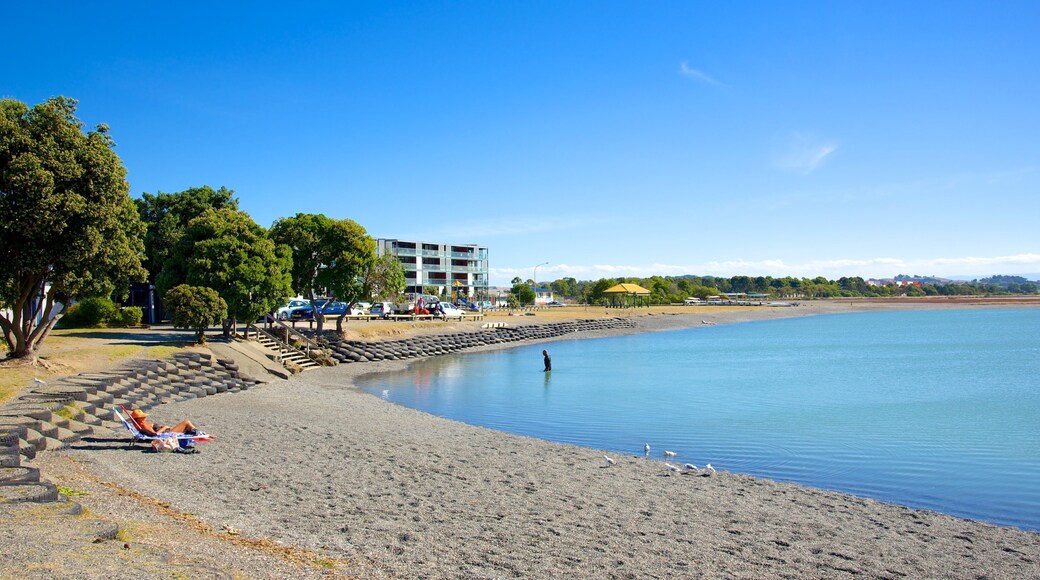 Napier joka esittÀÀ jÀrvi tai vesikuoppa ja puisto