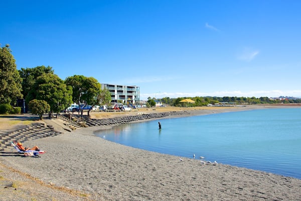 Napier which includes a park and a lake or waterhole