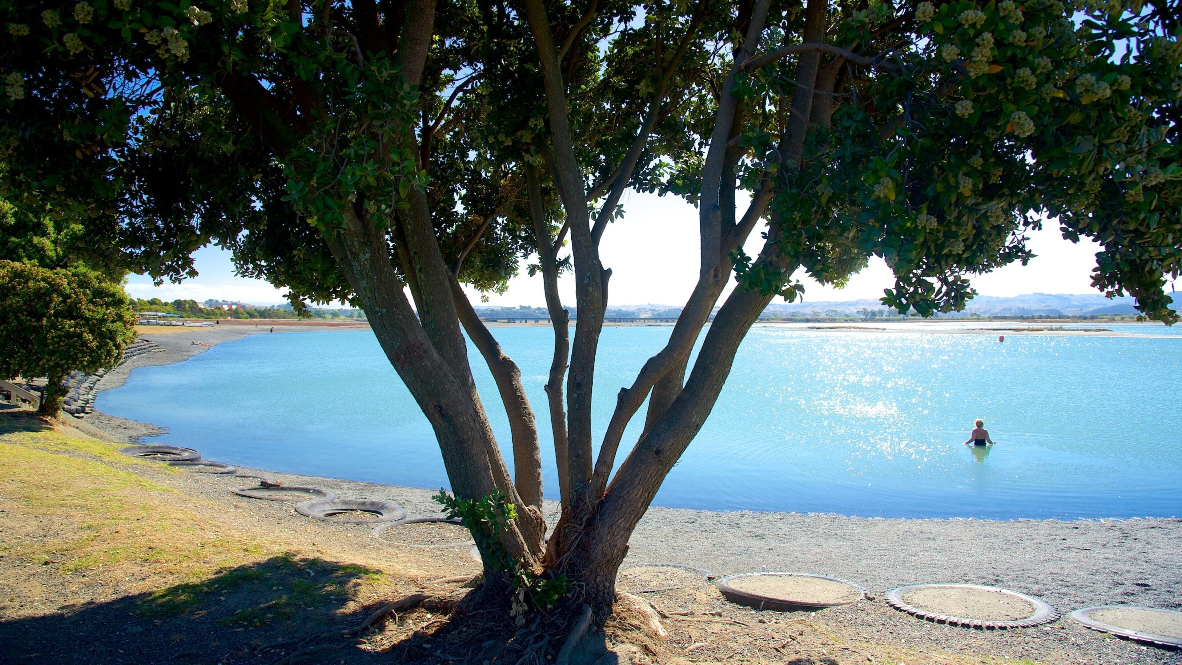 Napier featuring a lake or waterhole and a garden