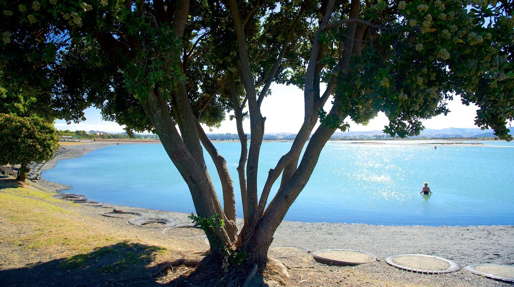 Napier johon kuuluu puisto ja jÀrvi tai vesikuoppa