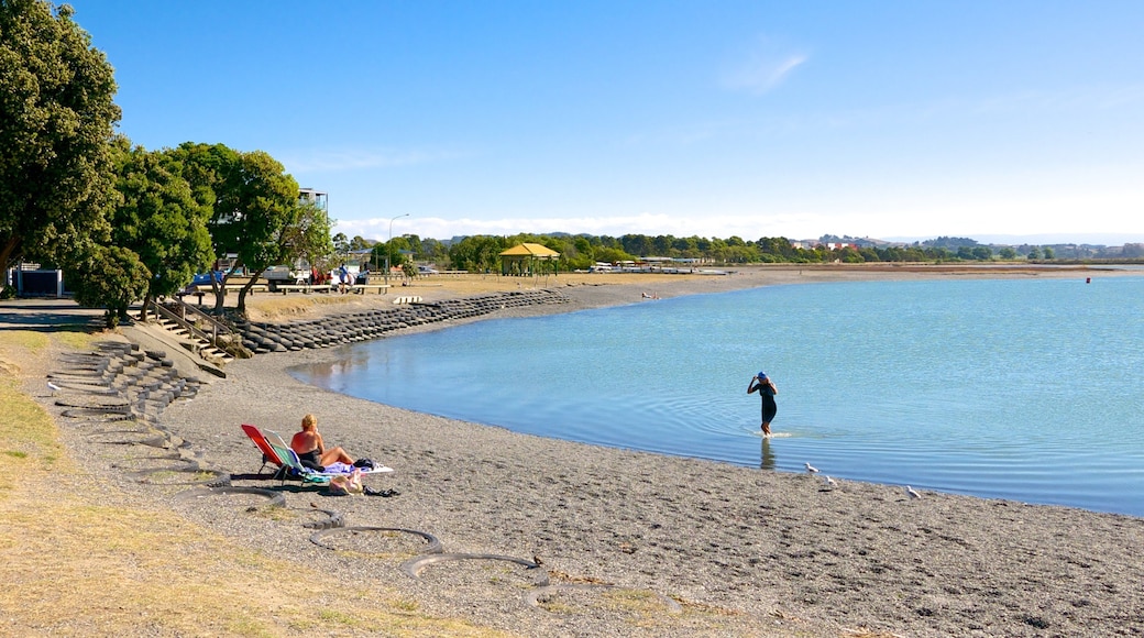Napier which includes a lake or waterhole and a garden