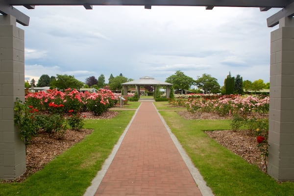 Hastings featuring flowers and a garden