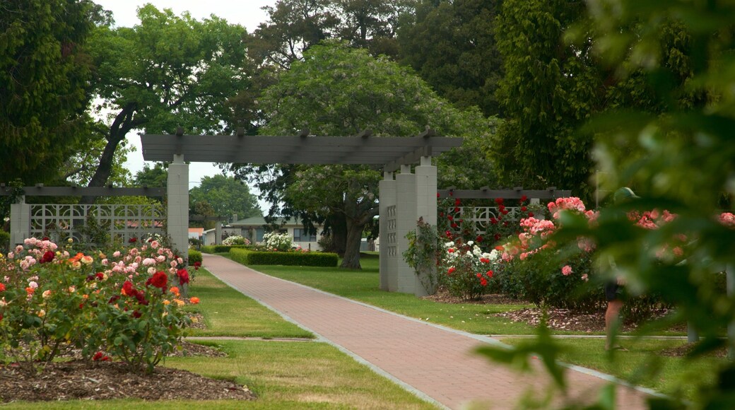 Hastings showing a park and flowers