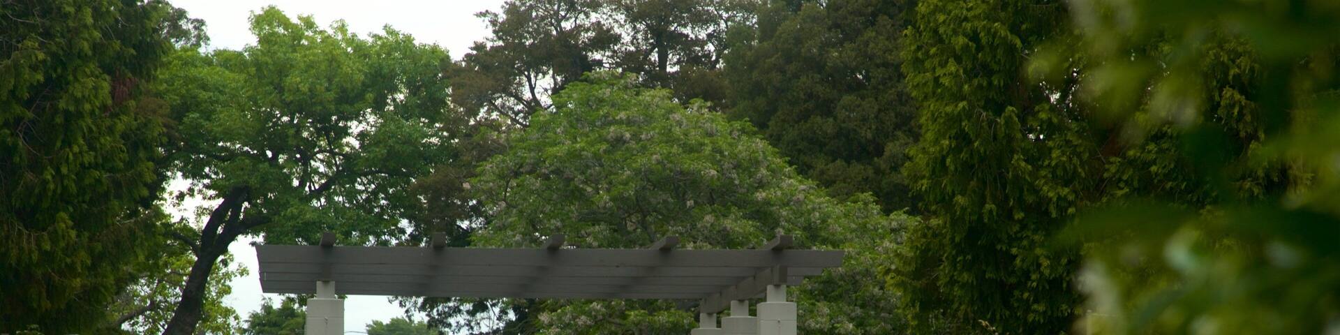A garden with a paved walkway, flowering plants, and a pergola structure.