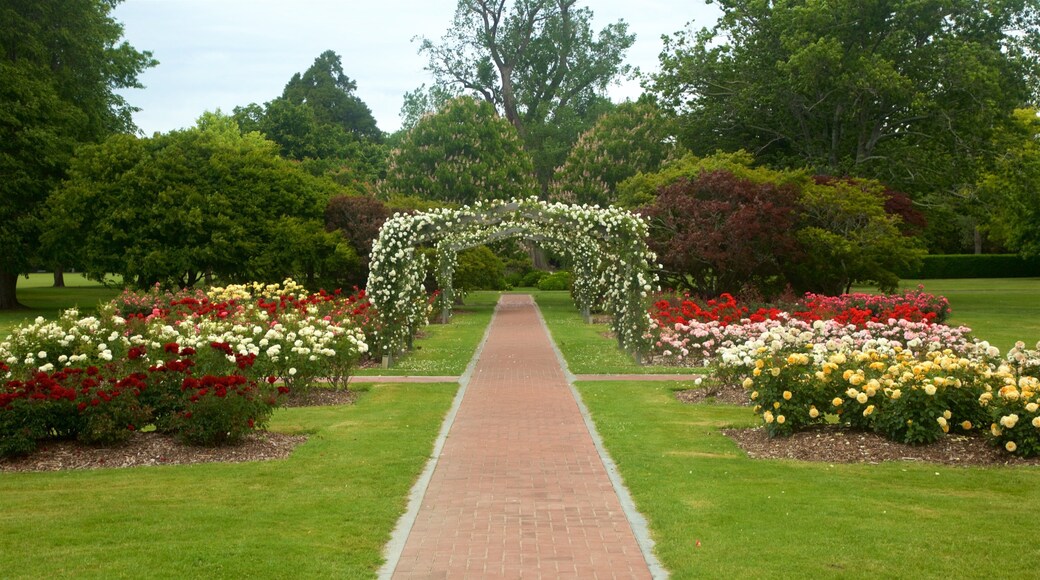 Hastings showing a garden and flowers