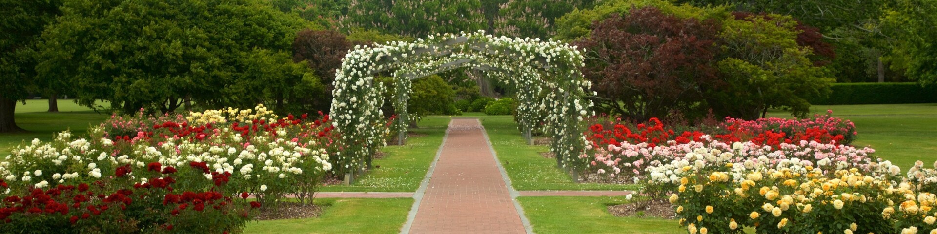 Hastings showing a garden and flowers
