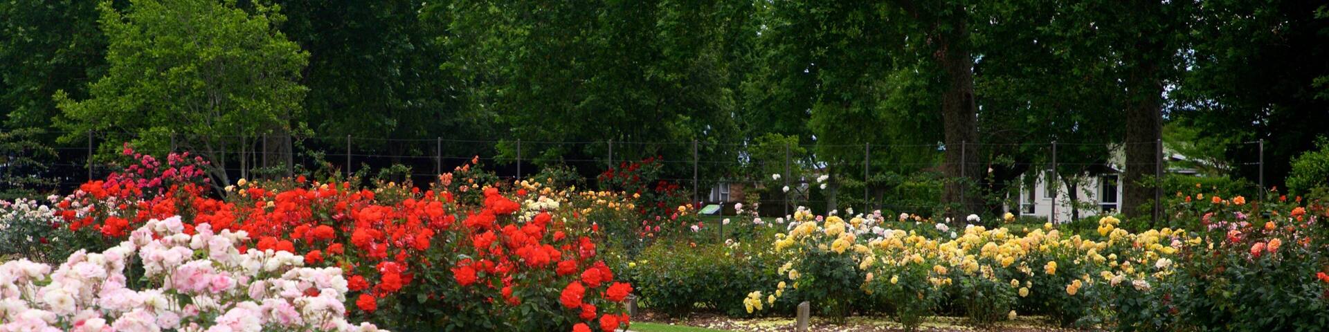 Hastings showing wildflowers and a garden