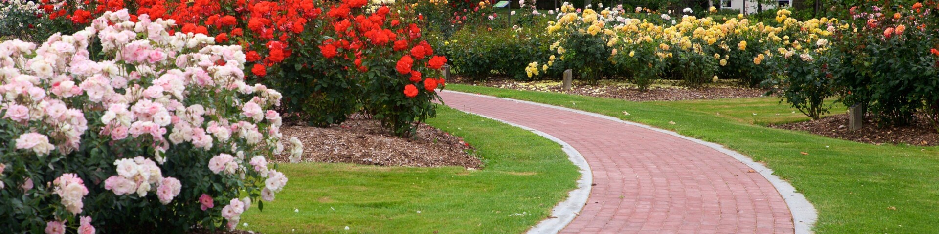 Hastings que incluye flores silvestres y un parque