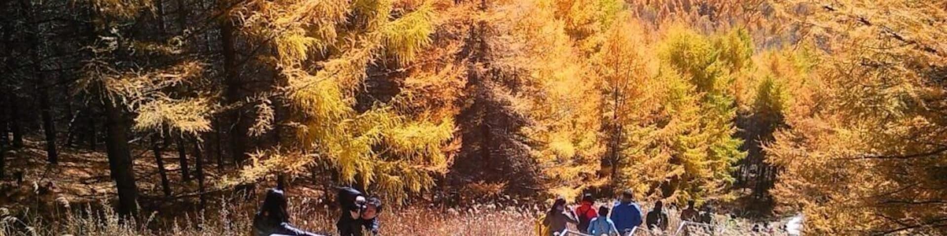 Looks like a painting isn't it?? #mongolia #china #aershan