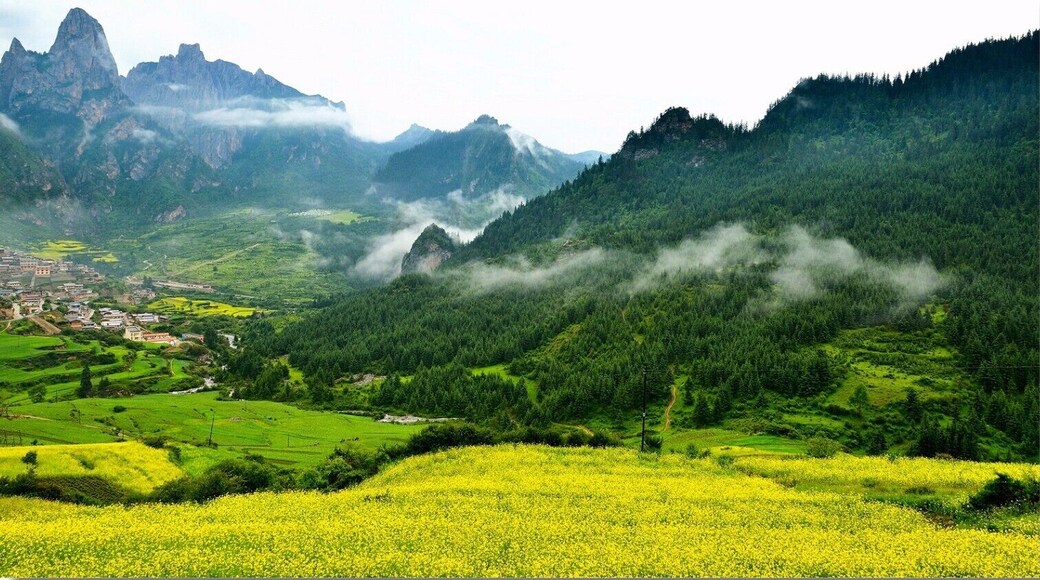Beautiful #Zagana(扎尕那) of Gannan Tibetan Autonomous Prefecture,#Gansu Province,China.
https://twitter.com/Beautifulgx
