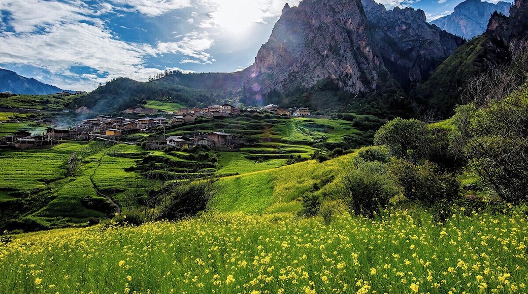 The Garden of Eden #Zagana.
美丽的 #扎尕那
https://twitter.com/Beautifulgx