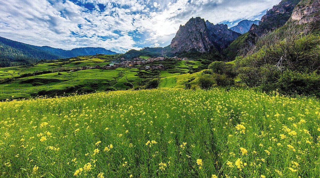 The Garden of Eden #Zagana.
美丽的 #扎尕那
https://twitter.com/Beautifulgx