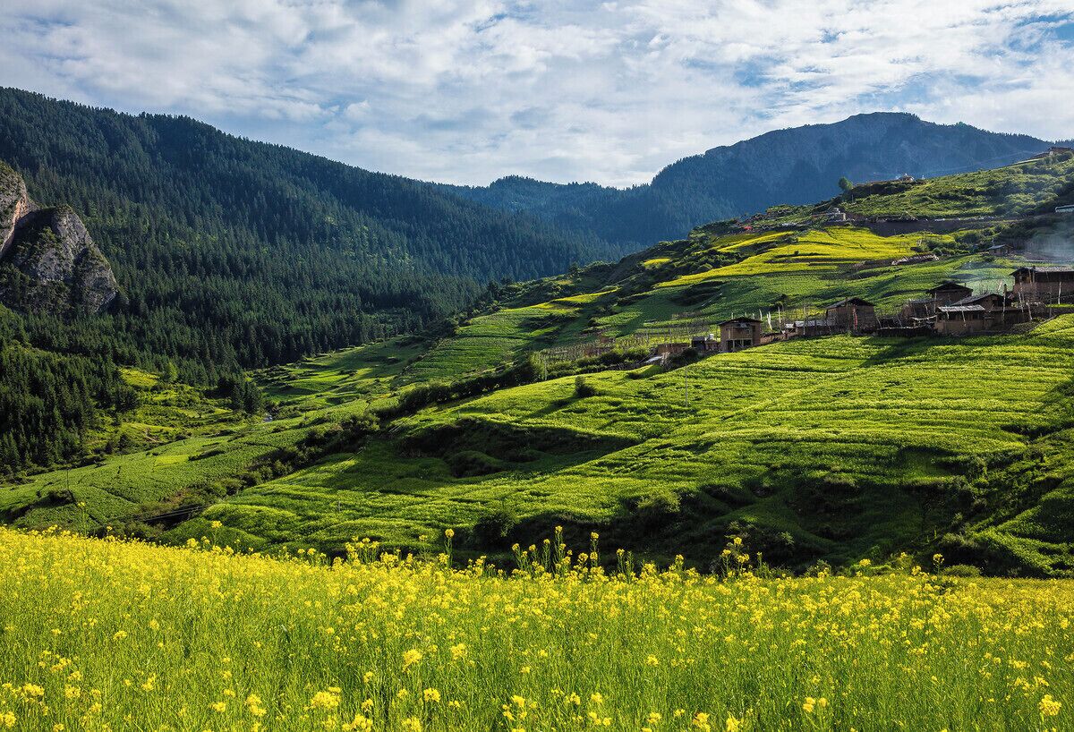 The Garden of Eden #Zagana,.
美丽的 #扎尕那

https://twitter.com/Beautifulgx