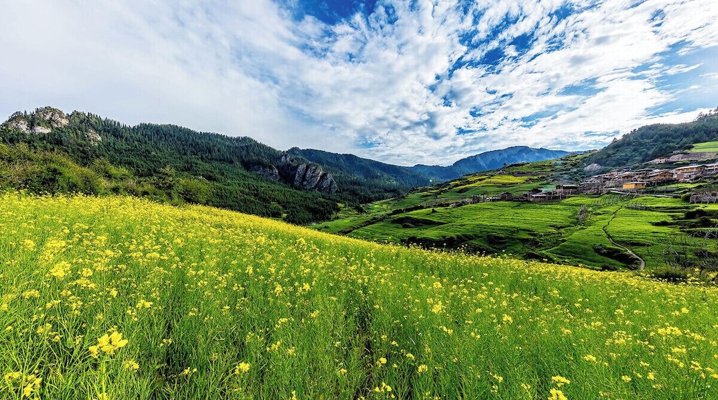 The Garden of Eden #Zagana,.
美丽的 #扎尕那
https://twitter.com/Beautifulgx