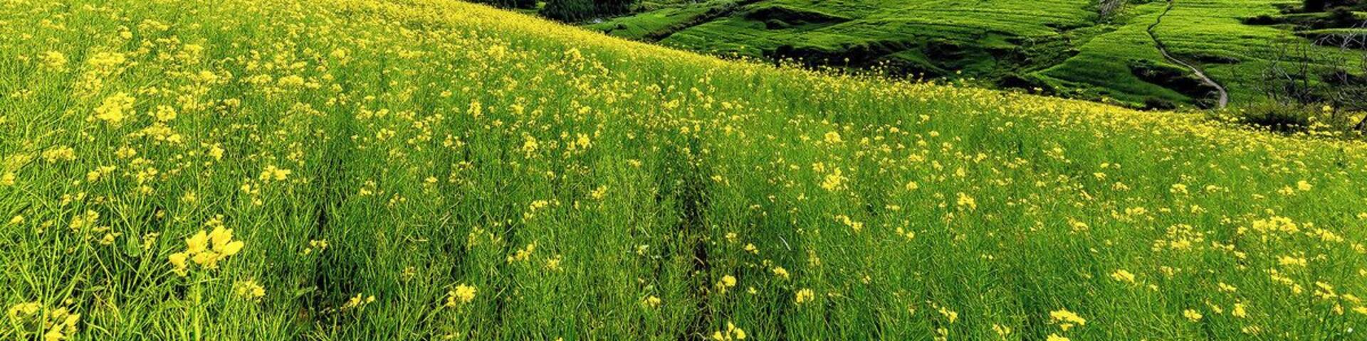 The Garden of Eden #Zagana,.
美丽的 #扎尕那
https://twitter.com/Beautifulgx