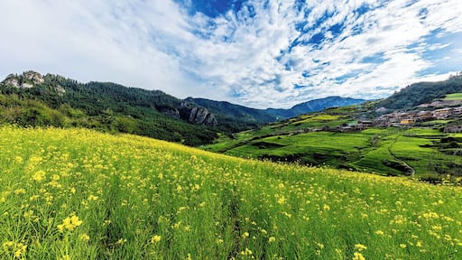 The Garden of Eden #Zagana,.
็พไธฝ็ #ๆๅฐ้ฃ
https://twitter.com/Beautifulgx