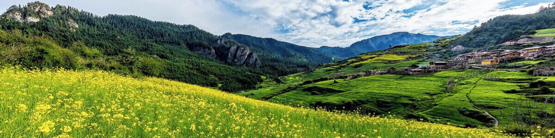 The Garden of Eden #Zagana,.
美丽的 #扎尕那
https://twitter.com/Beautifulgx