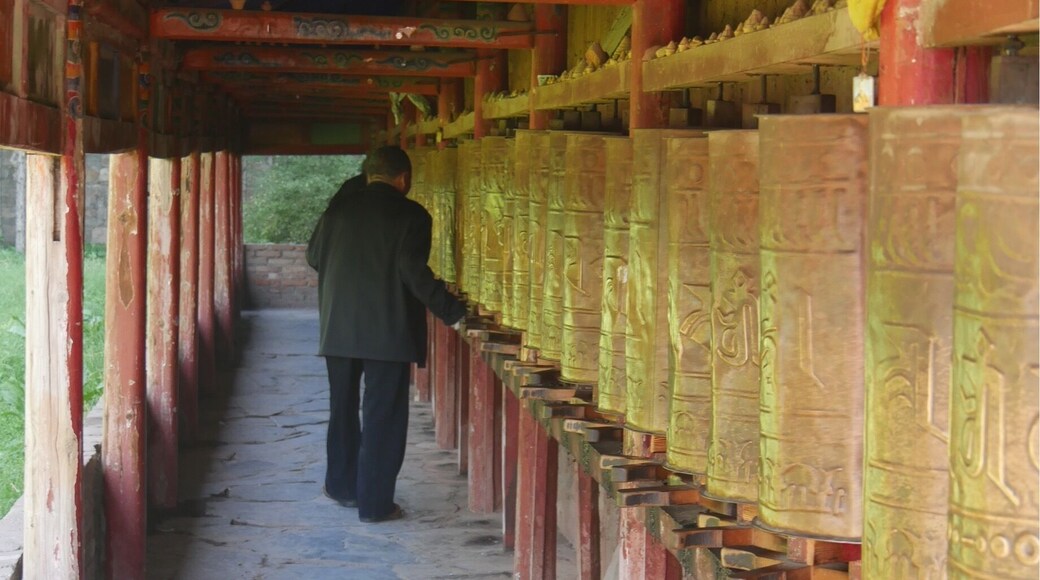 Pilgrim walking the kora at Milarepa Palace.