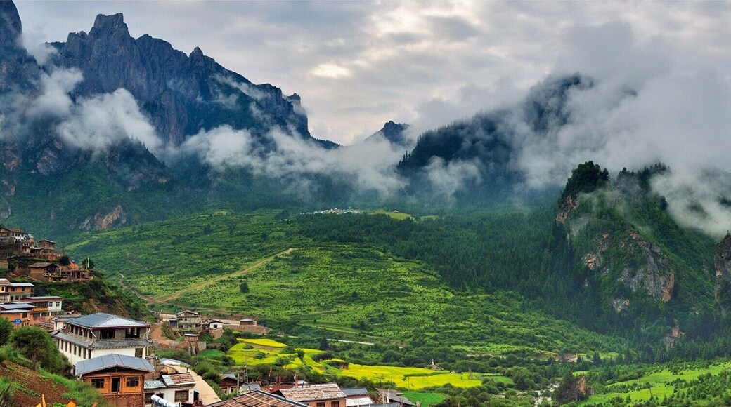 Beautiful #Zagana(æć°éŁ) of Gannan Tibetan Autonomous Prefecture,#Gansu Province,China.
https://twitter.com/Beautifulgx