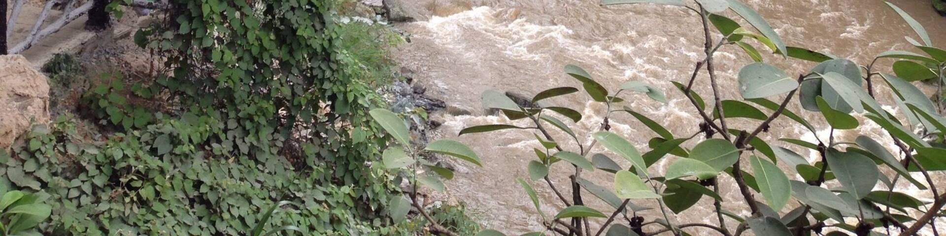 The scar of the Earth