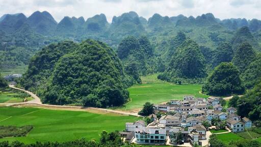 Stunning picturesque and criminally undervisited. The Thousand Peak Forest in Guizhou should be on everybody's itinerary if visiting this region!