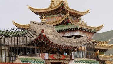 Gilded and stone rooftops at the Longwu Monastery, Rebkong, China.
