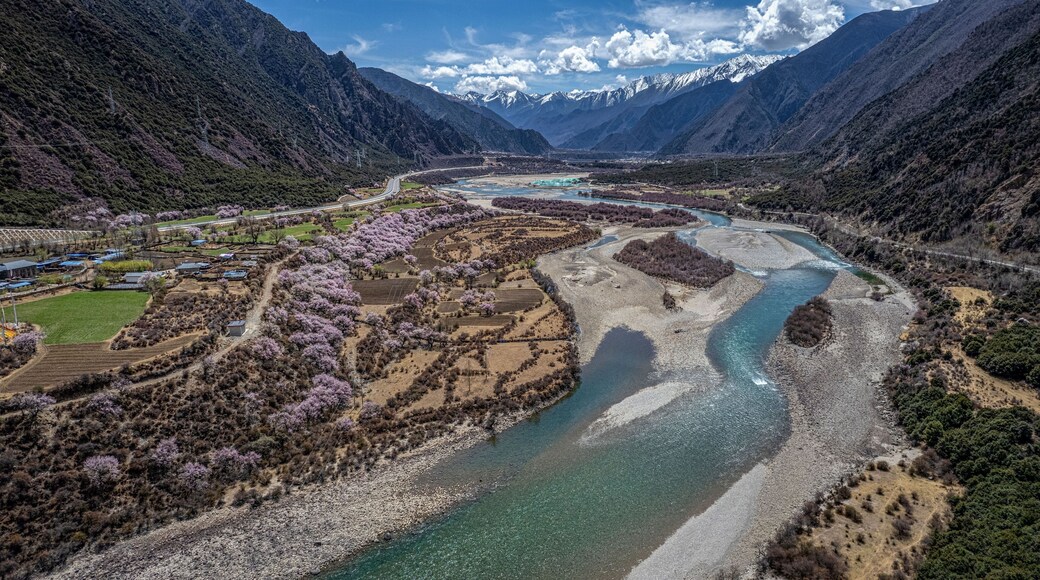 Niyang river with a background of alpine mountains in Tibet