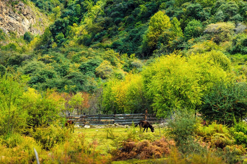 #Yarlung Zangbo Grand Canyon.
世界上最大的峡谷- #雅鲁藏布大峡谷

https://twitter.com/Beautifulgx