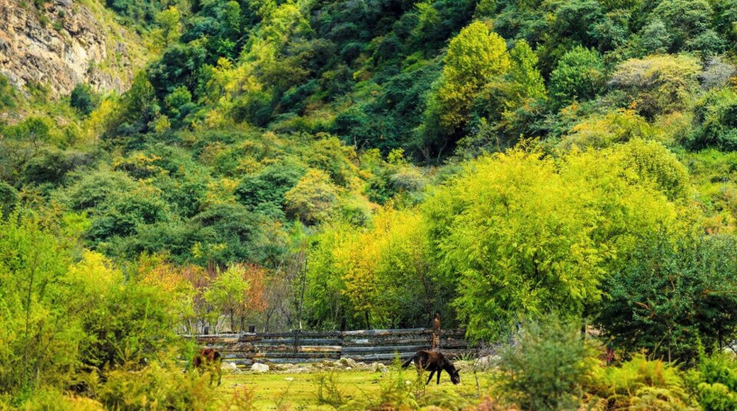 #Yarlung Zangbo Grand Canyon.
ไธ็ไธๆๅคง็ๅณก่ฐท- #้
้ฒ่ๅธๅคงๅณก่ฐท
https://twitter.com/Beautifulgx