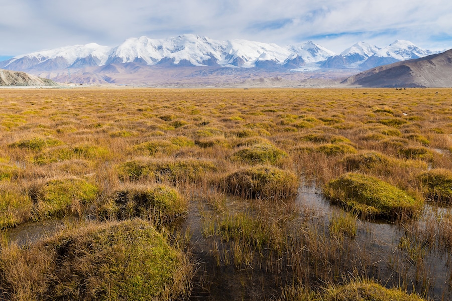 De vastes prairies parsemées de plans d’eau, qui s’étendent jusqu’aux montagnes enneigées à l’horizon.