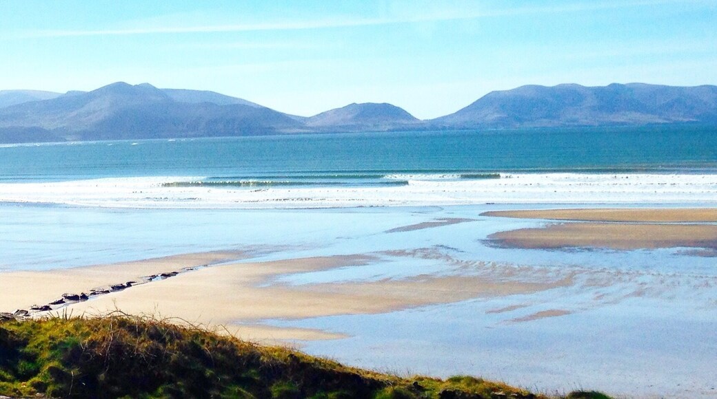 The most peaceful place I have experienced to date🙌🏼