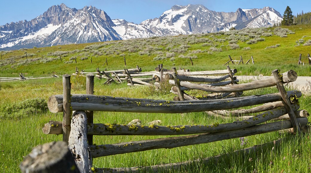 Mountain peaks rising out of green pastures with a rustic wood fence on a beautiful summer day