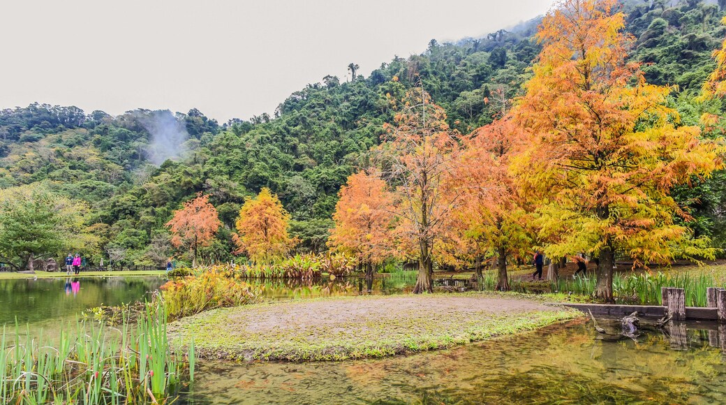 Penglai River Ecology Park