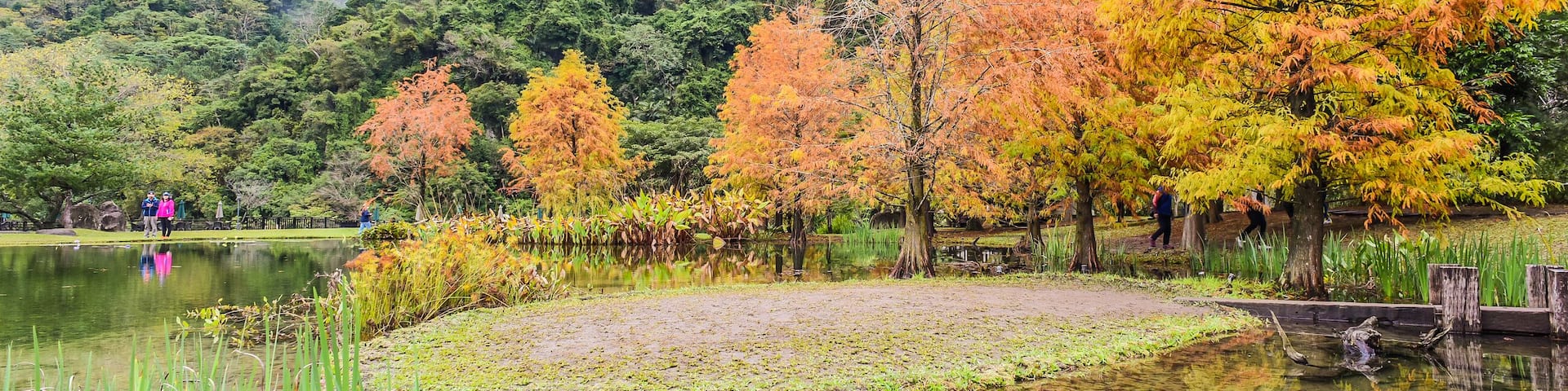 Un lago sereno rodeado de árboles de colores otoñales y un bosque denso al fondo.
