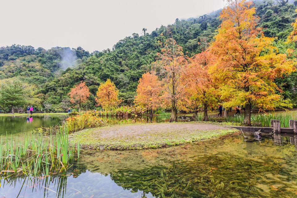 A serene lake surrounded by autumn-colored trees and a dense forest in the background.